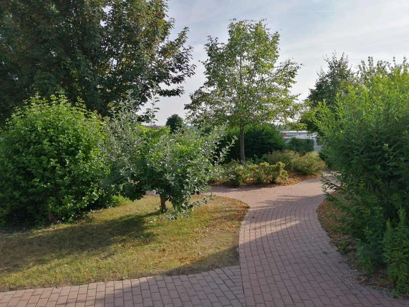 Casadoro Tagespflege Haus am Kirschgarten – Bild 3