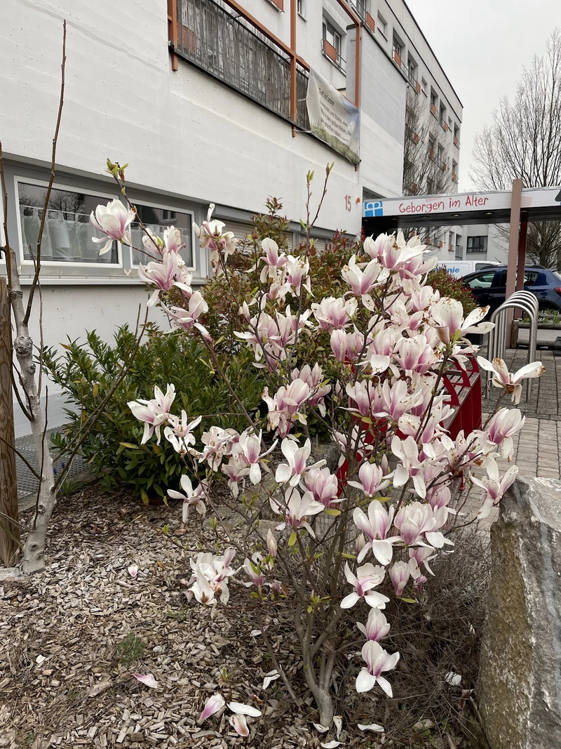 Johann-Gramann-Haus Senioren- und Pflegeheim – Bild 4