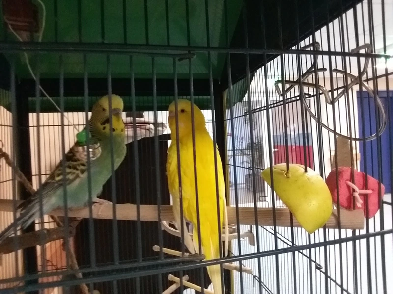 Vitanas Senioren Centrum Rosenpark – Bild 3