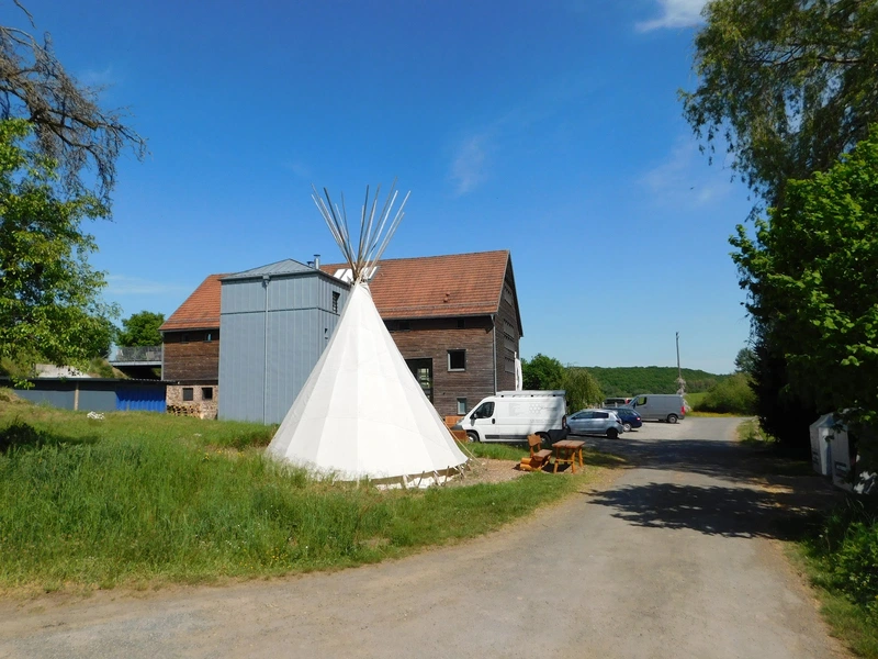 Haushaltsnahe Dienstleistungen – Bild 3