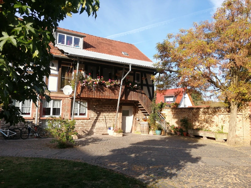 Haushaltsnahe Dienstleistungen – Bild 4