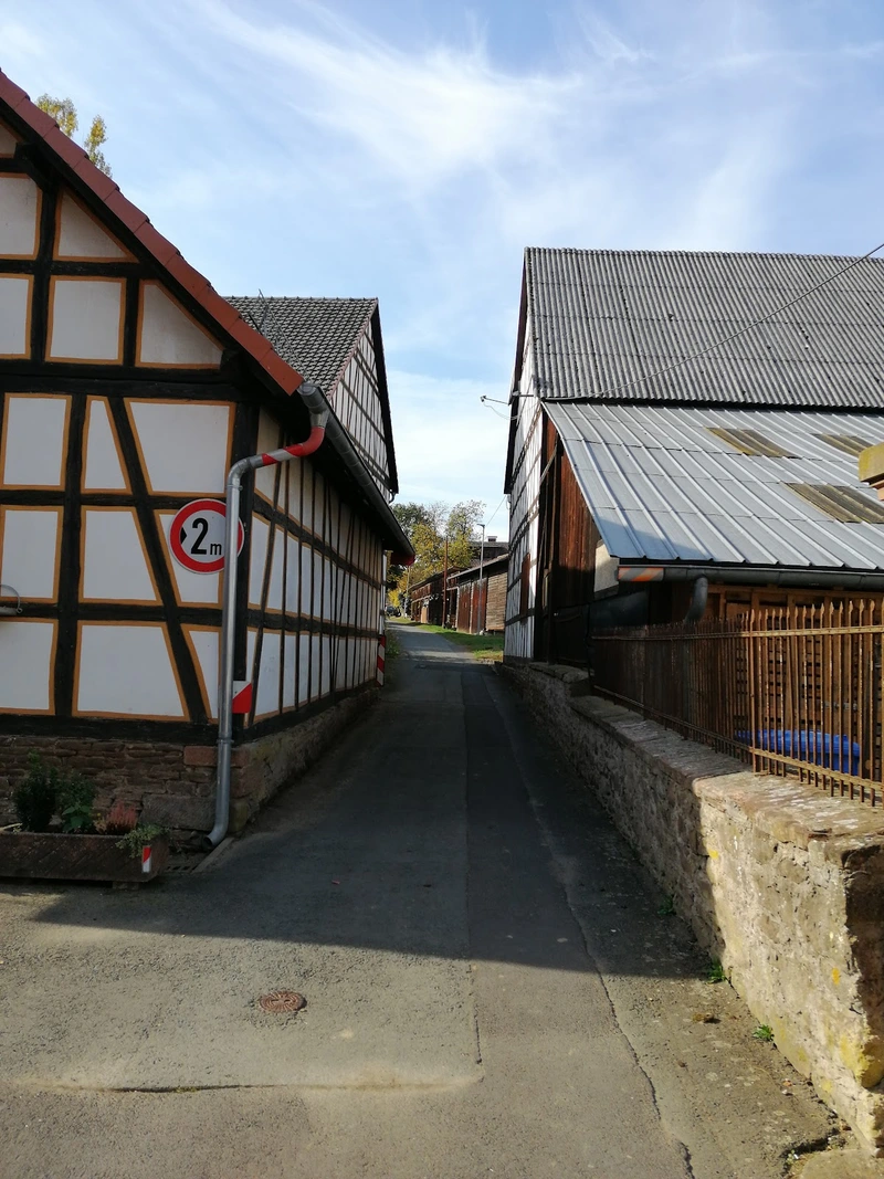 Haushaltsnahe Dienstleistungen – Bild 5