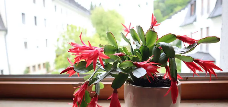 Alten- und Pflegeheim St. Alfons – Bild 5