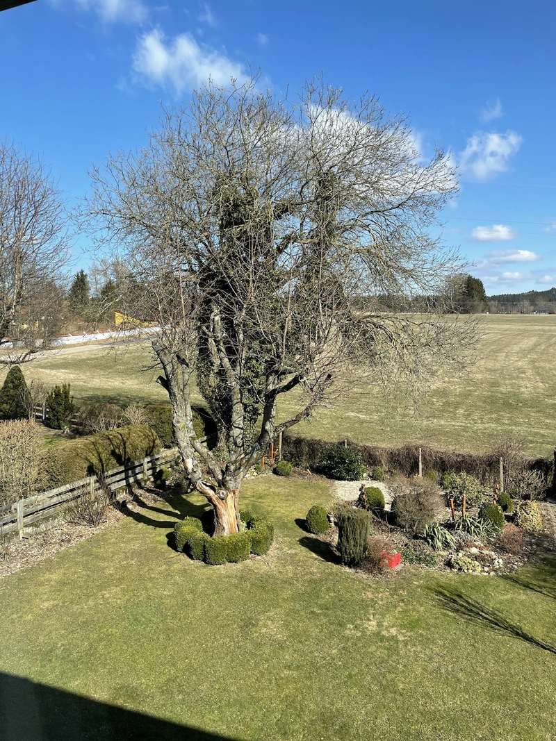 Maschinenring Familienservice - Haushaltsnahe Dienstleistungen – Bild 5