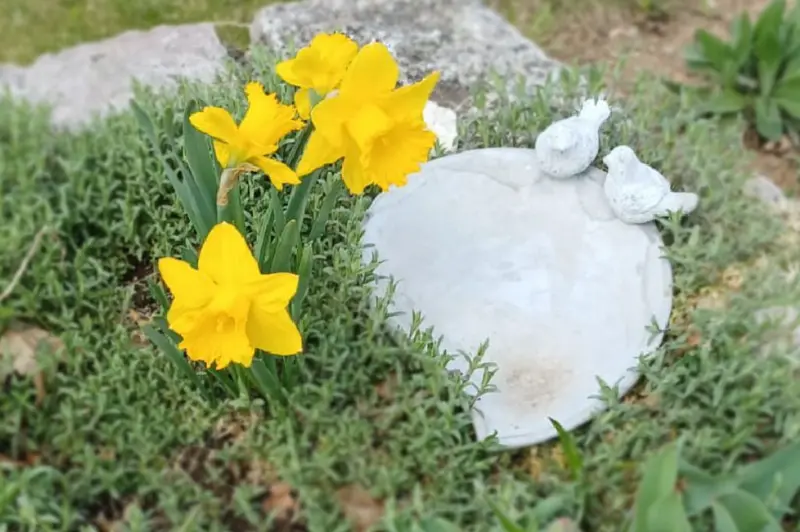 Seniorendomizil Am Klostergarten Haus Maria – Bild 3