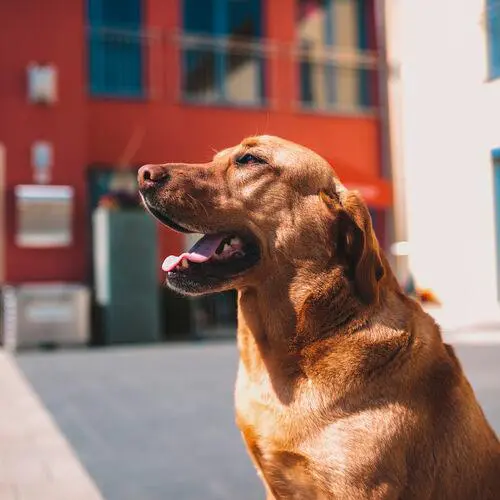 Wohnresidenz St. Raphael Gschwendner GmbH & Co. KG – Bild 5