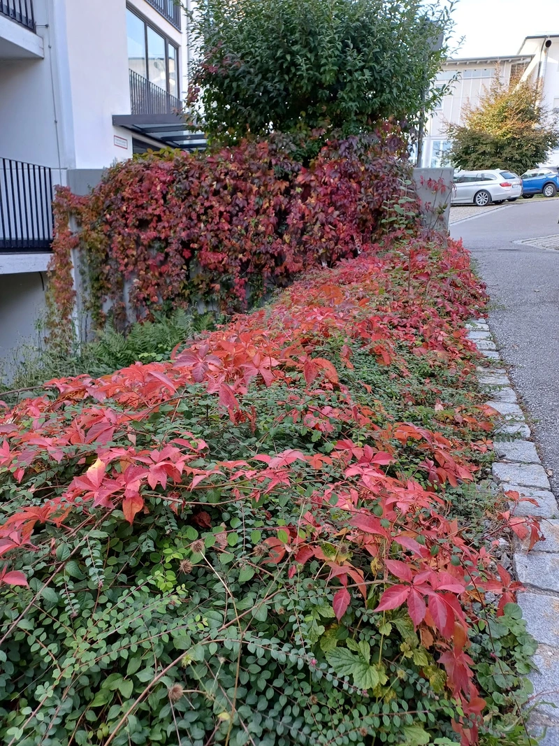 Leben und Wohnen im Alter GmbH St. Elisabeth – Bild 4