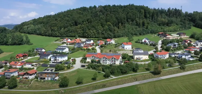 Rosenium VIII – Bild 2