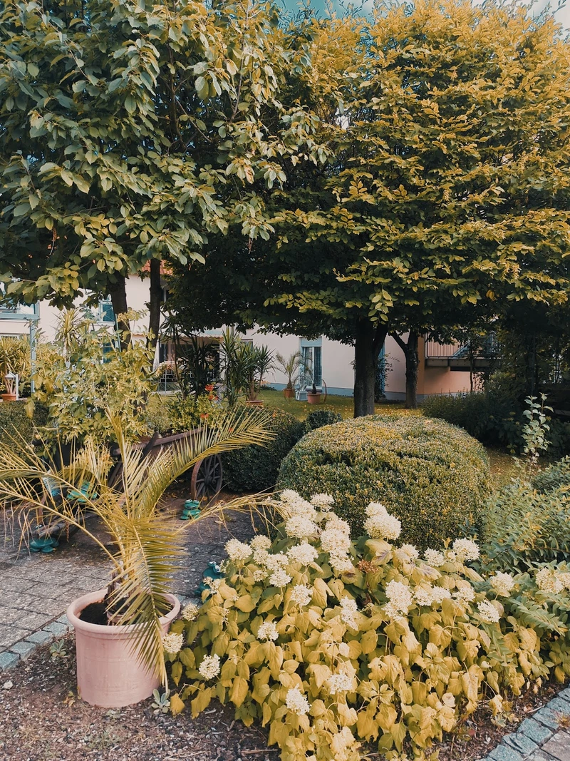 Bartholomäus Wohnpark Bindlach Seniorenwohn- und Pflegeheim der Arche Noris gGmbH – Bild 2