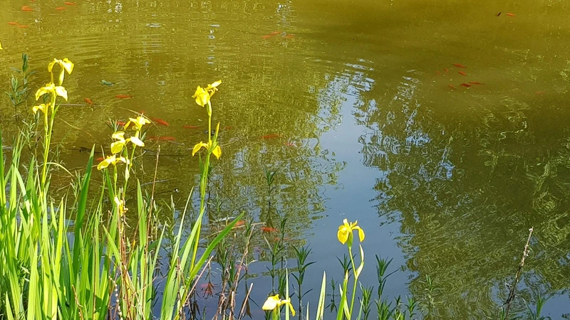 Seniorenzentrum Walsdorf – Bild 4