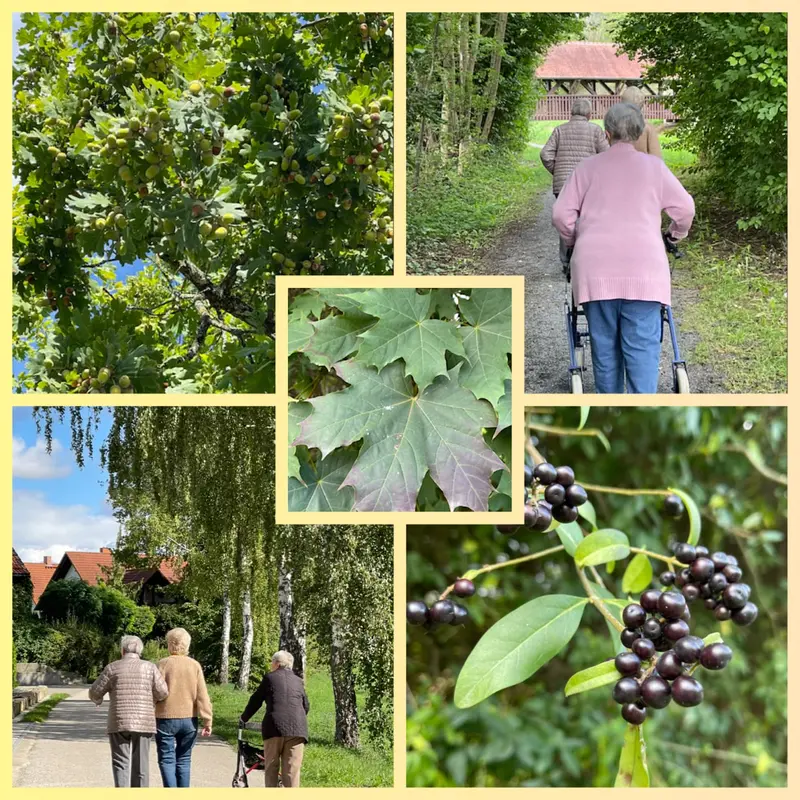 Caritas - Tagespflege Maria Stern – Bild 5