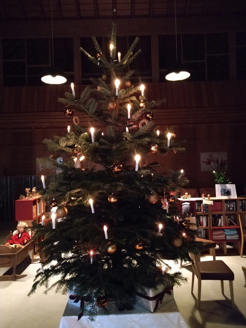 Tagespflege Goldener Herbst – Bild 4