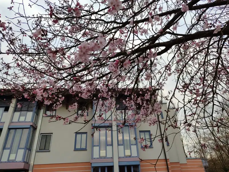 Caritas - Hausgemeinschaft St. Anna – Bild 2