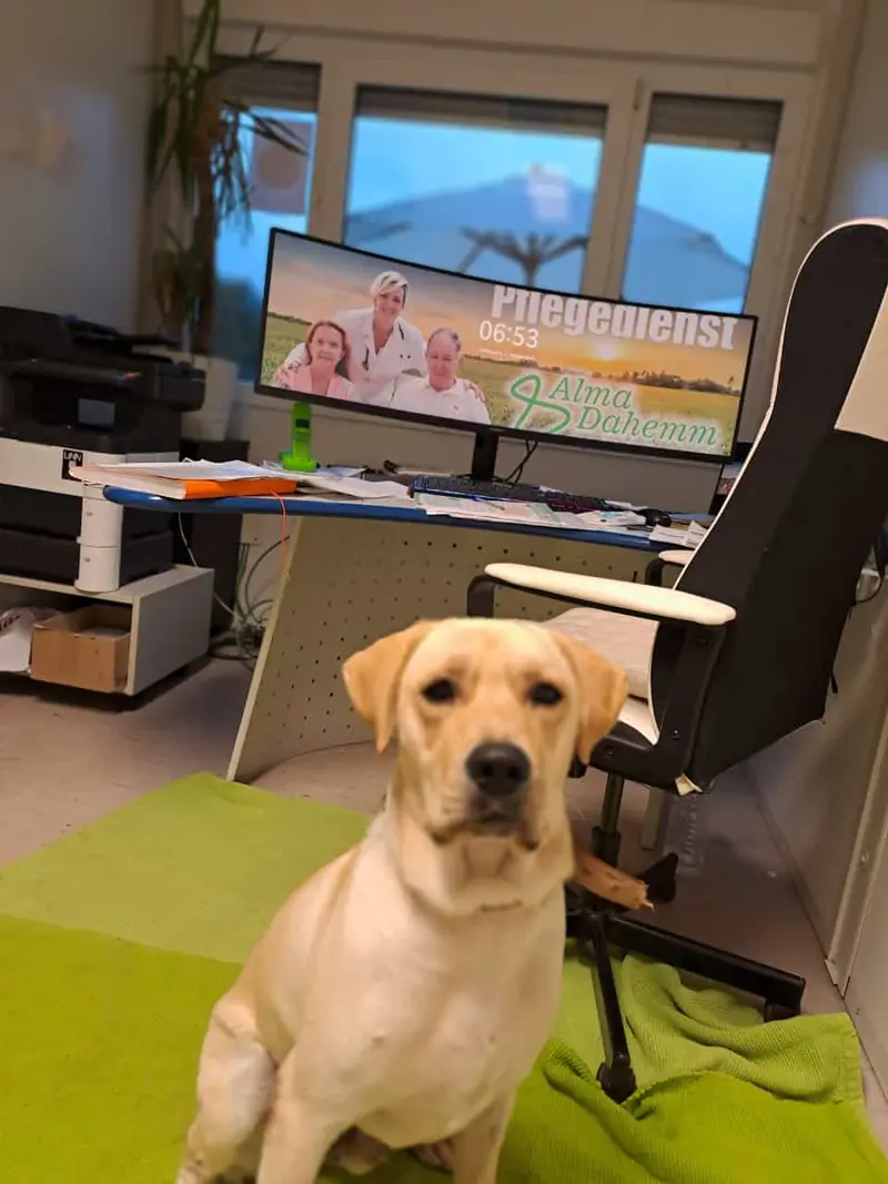 Ambulanter Pflegedienst ALMA DAHEMM – Bild 5