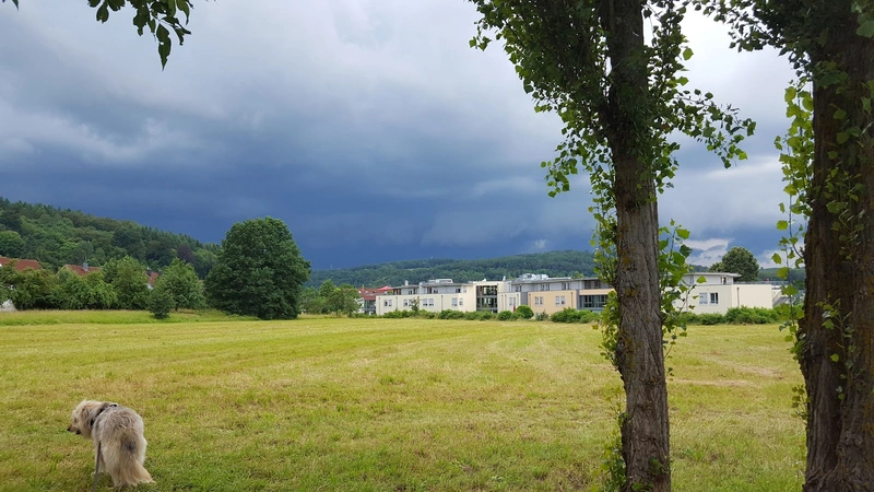 Seniorenzentrum Mainbrücke – Bild 2