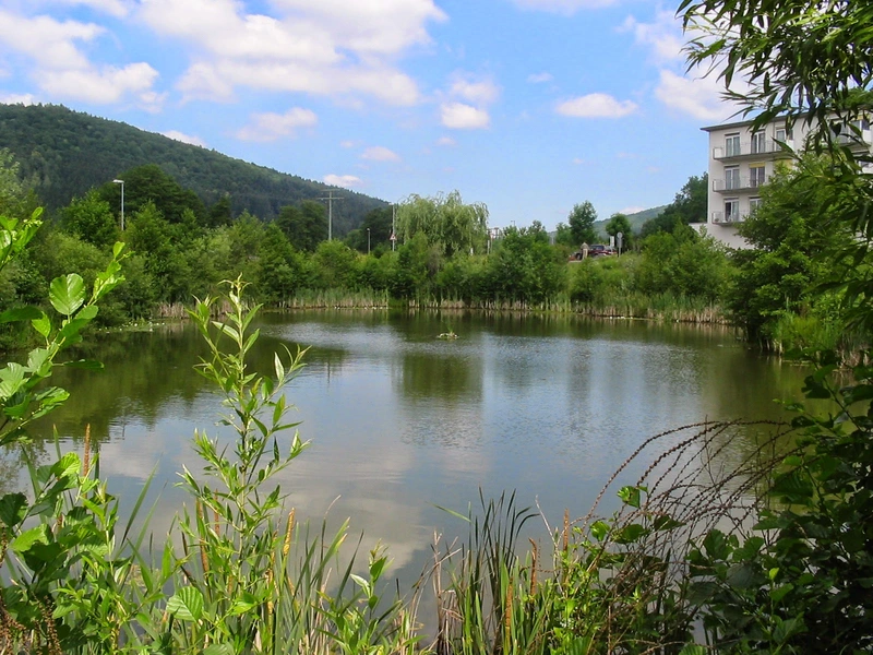 Gesundheitszentrum Main-Spessart für Pflege und Therapie – Bild 5
