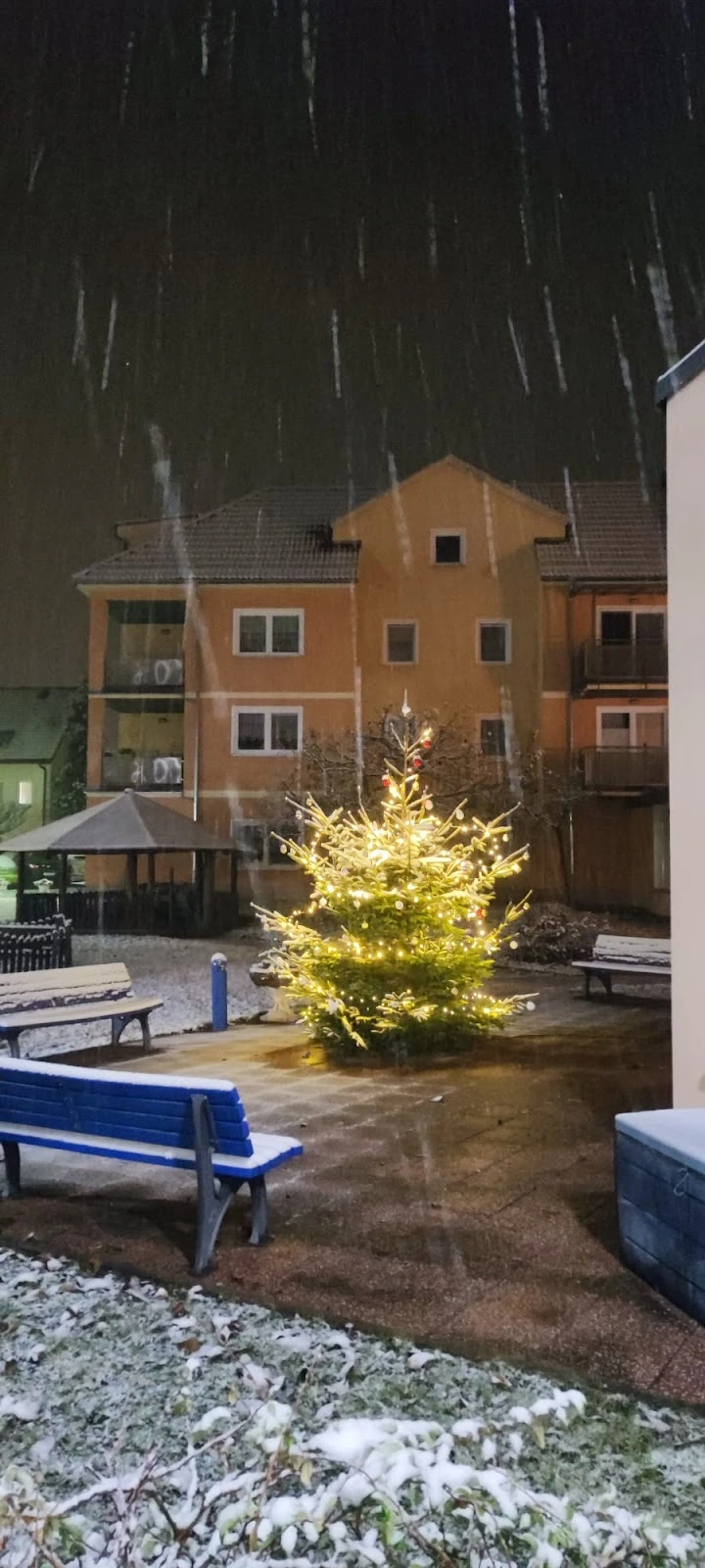 AWO Seniorenzentrum Jüterbog Sozialstation – Bild 2