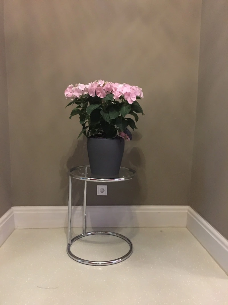 Tagespflege "Am Englischen Garten" – Bild 4