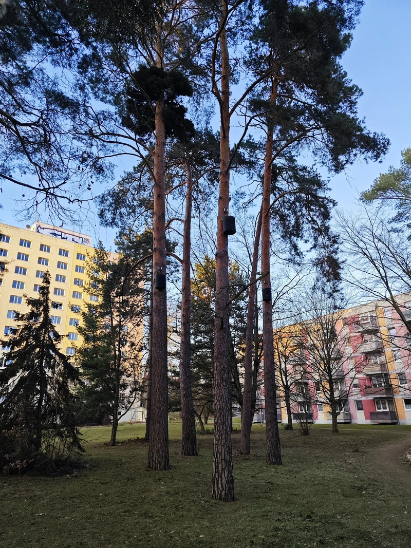 Pflegewohnpark Haus Weißensee GmbH & Co.KG – Bild 4