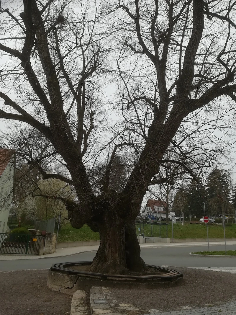 Soziales Zentrum "Am Baumbachhaus" – Bild 4