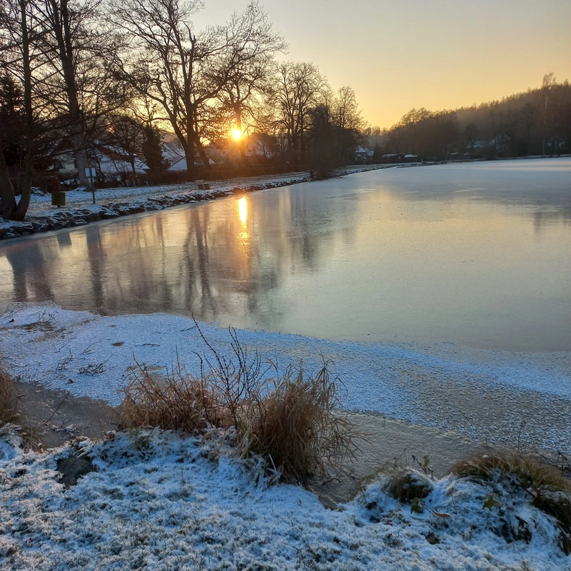 "Haus am Hammerteich" Pflegeheim für geistig behinderte Menschen – Bild 1
