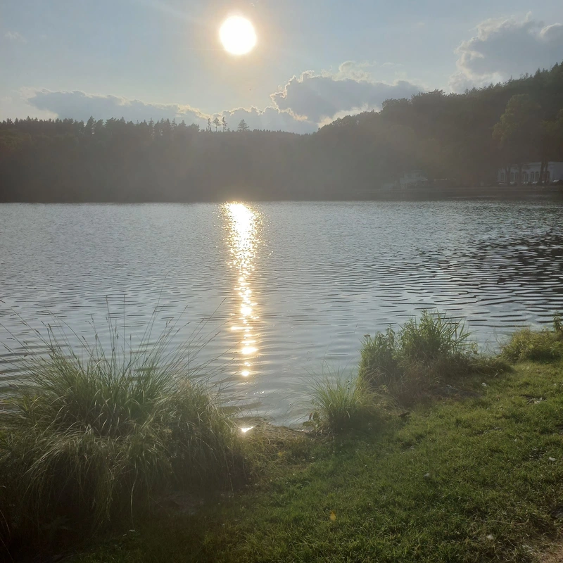 "Haus am Hammerteich" Pflegeheim für geistig behinderte Menschen – Bild 3