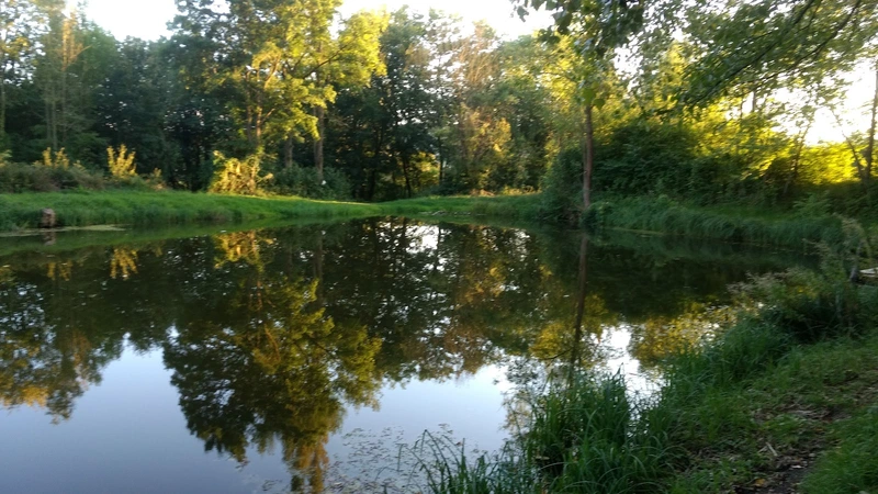 Wohn- und Pflegezentrum Schloss Bischofstein – Bild 5
