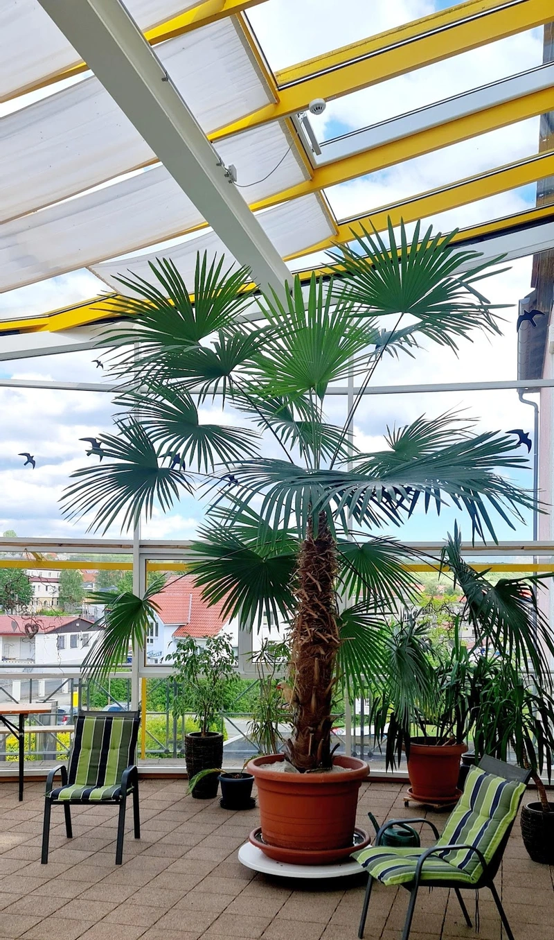 Alten- & Pflegeheim Diedorf GmbH – Bild 2