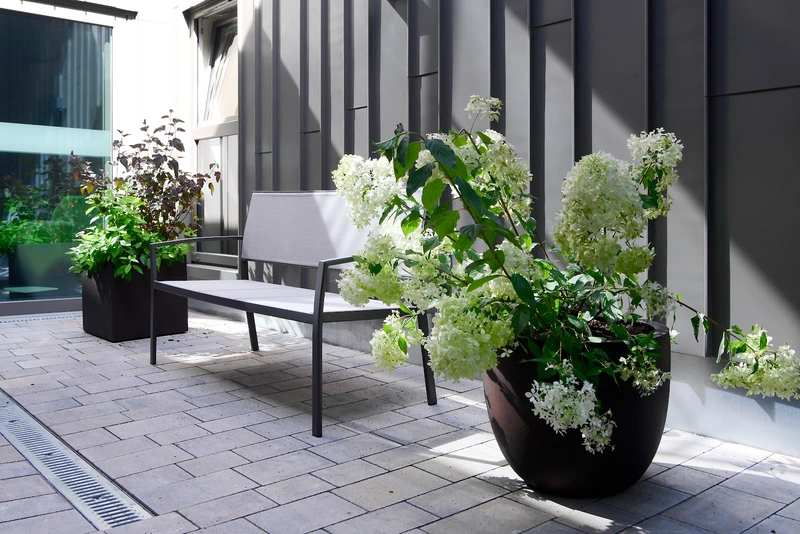 Seniorenwohngemeinschaft an der Waidmühle – Bild 2