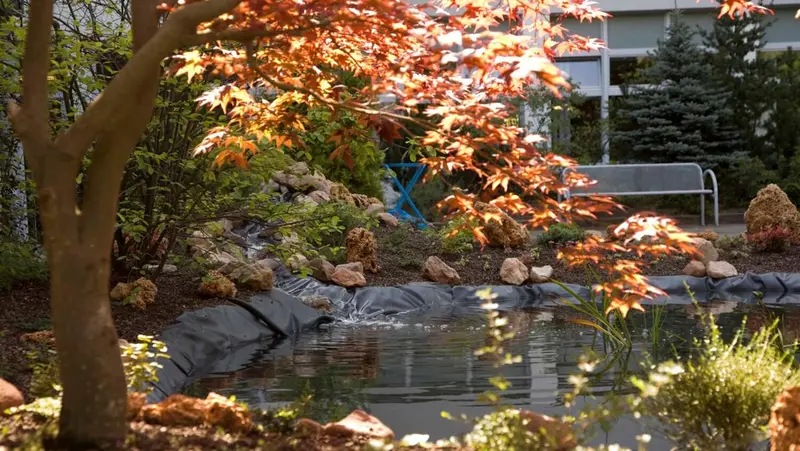 MediClin Tagespflege Rennsteigblick – Bild 2