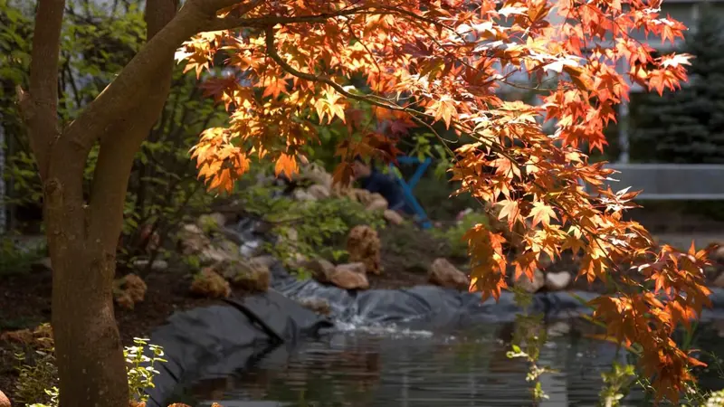 MediClin Tagespflege Rennsteigblick – Bild 3