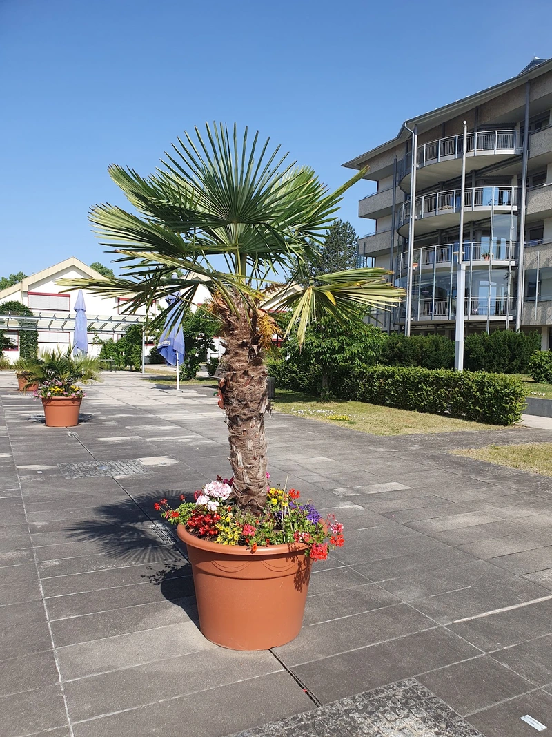 Pflege- und Altenheim Haus Wartenberg – Bild 5