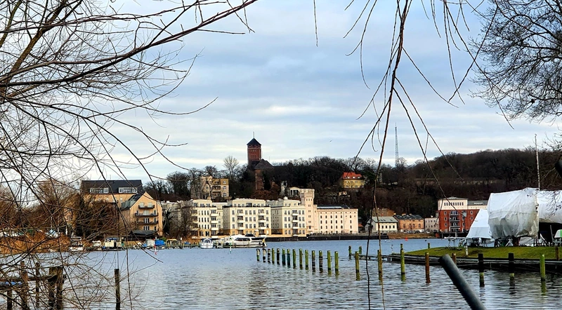 KRATZBOY - RÜCKENKRATZER – Bild 1