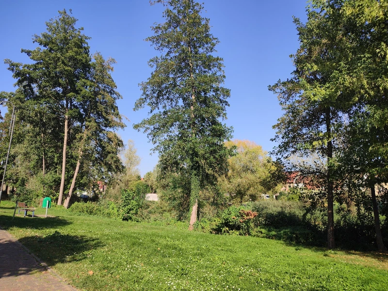 Sozialstation Brüel – Bild 3