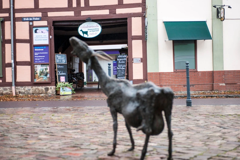 Diakonie-Sozialstation Röbel – Bild 5