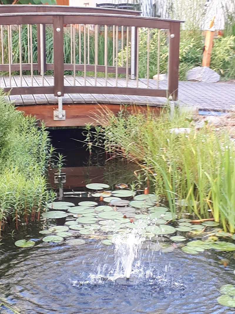 Volkssolidarität Vogtland Sozialstation Plauen – Bild 2