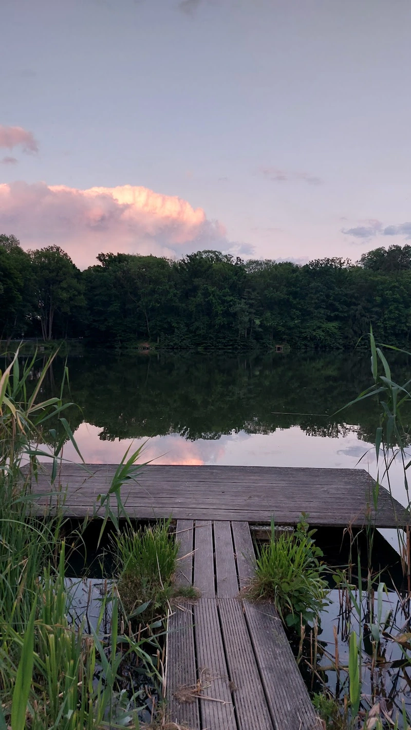 CLS Medizintechnik und Vertrieb – Bild 4