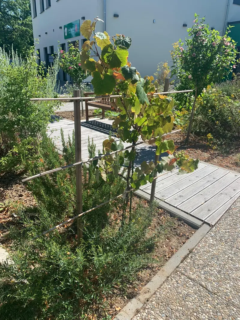 Land Apotheke mit Sanitätshaus Apotheke – Bild 2