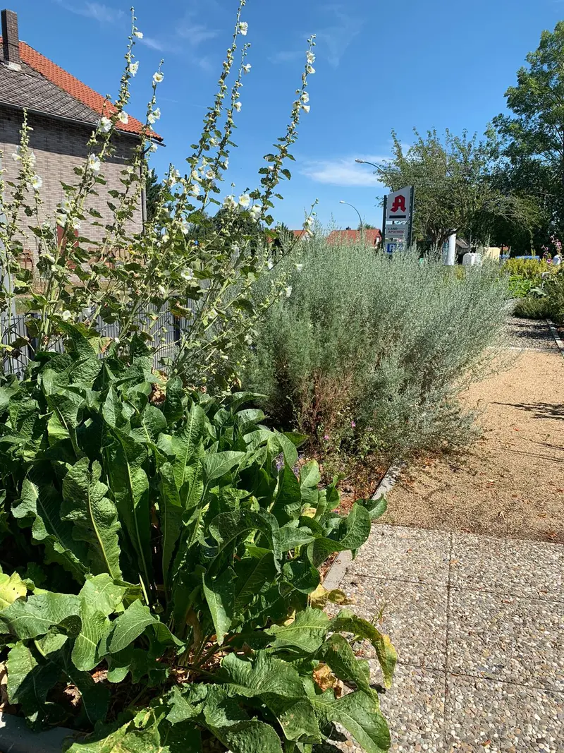 Land Apotheke mit Sanitätshaus Apotheke – Bild 3