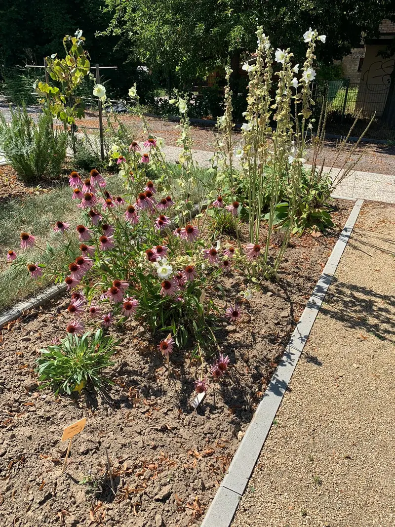 Land Apotheke mit Sanitätshaus Apotheke – Bild 4