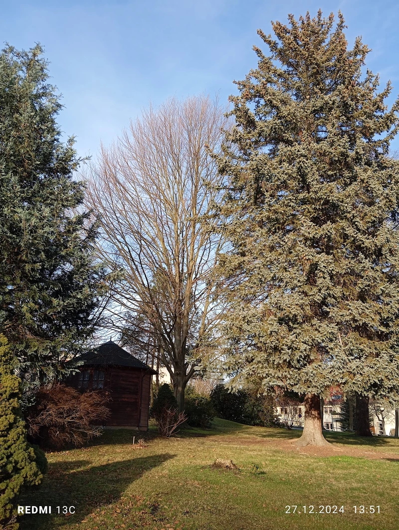 ASB Sozialstation Chemnitz – Bild 1