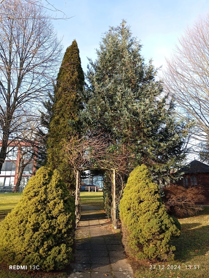 ASB Sozialstation Chemnitz – Bild 2