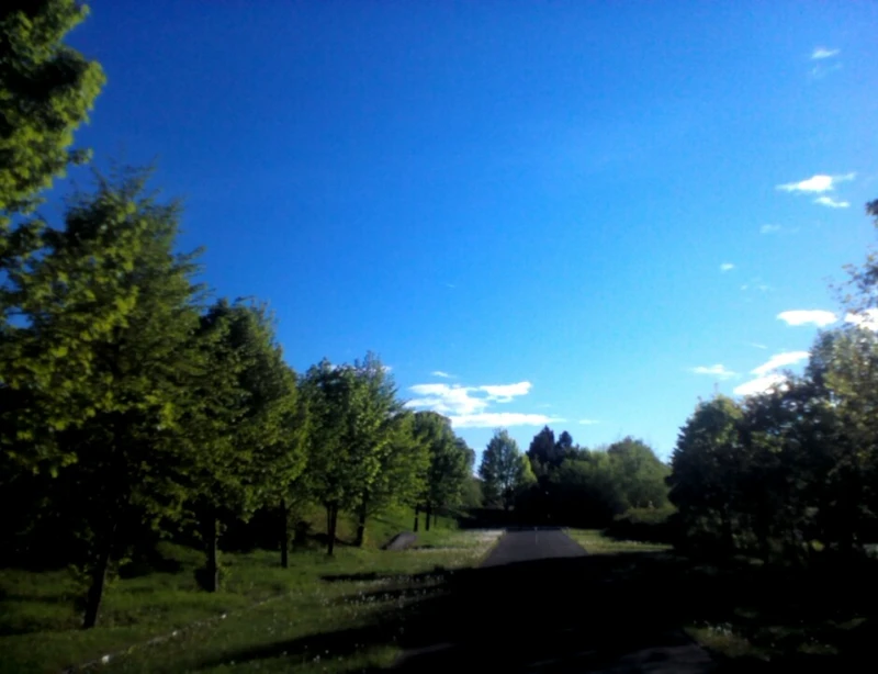 Johanniter Unfall Hilfe Pflegedienst Plauen – Bild 3