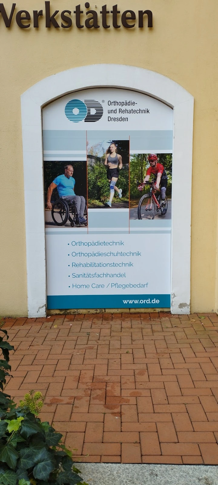 Braun Steffi – Bild 2