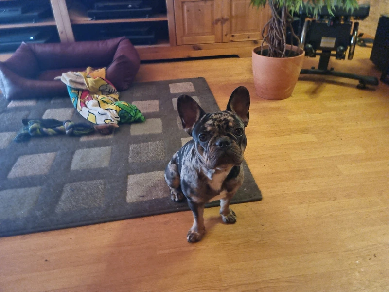 OMS Orthopädiewerkstatt – Bild 3