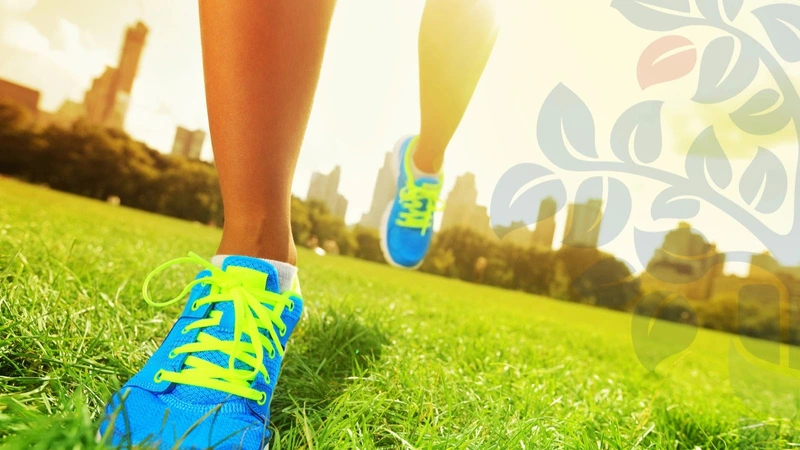 Sanitätshaus Tingelhoff GmbH Reha-Abteilung – Bild 2