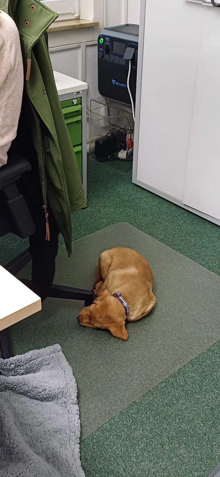 Gerster Alexa Sanitätshaus für Orthopädietechnik – Bild 2