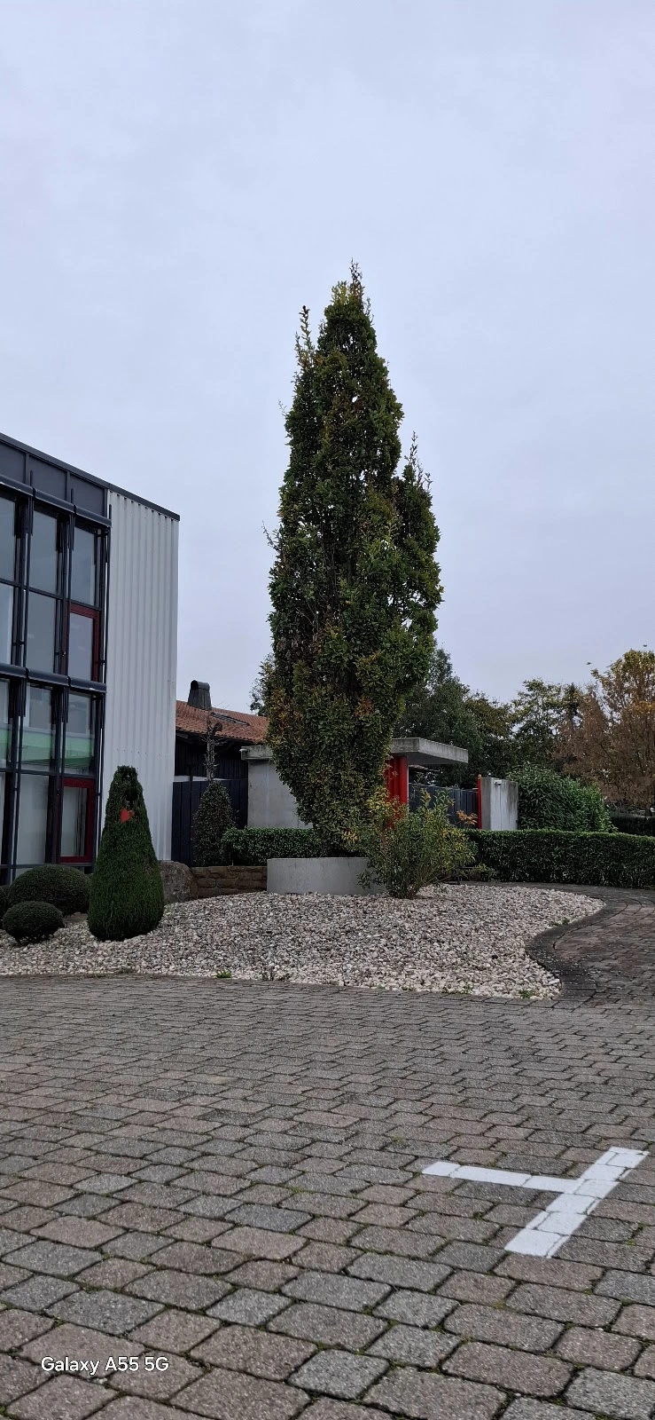 Sanitätshaus St. Georg GmbH & Co. KG – Bild 2