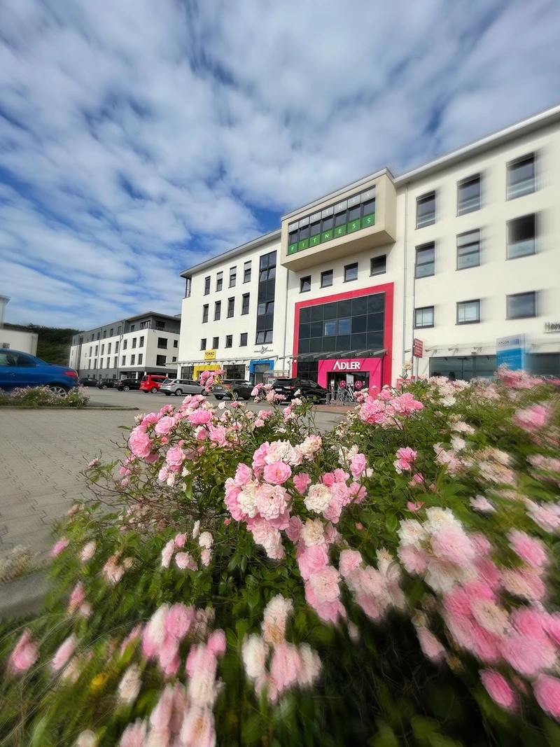 Lückenotto – Bild 3