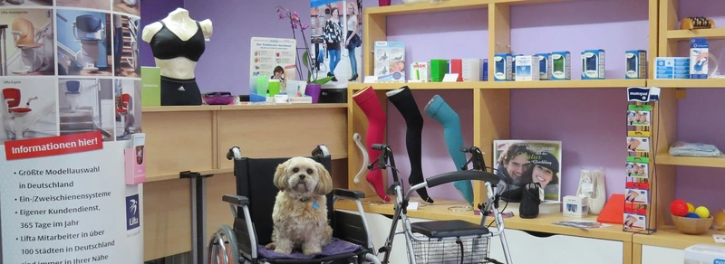 Sanitätshaus Interaktiv Sanitätshaus – Bild 3